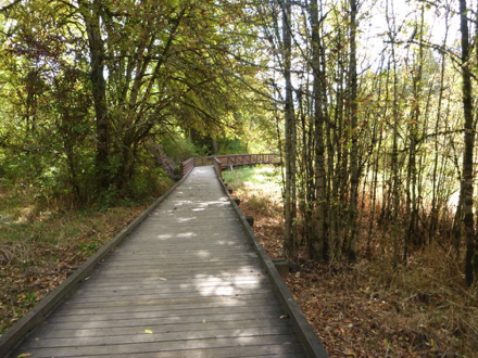 Boardwalk with edge protection – may be slippery when wet